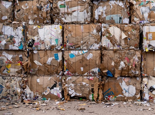 Carbon Offset Programs